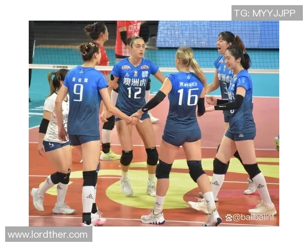 深圳排球队在全国排球比赛经验排行榜中荣获第五名的背后故事与启示