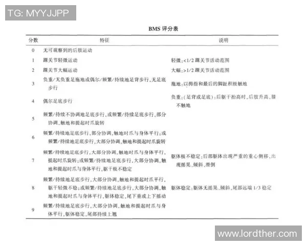 深圳足球队在挑战赛中的速度表现分析与点评