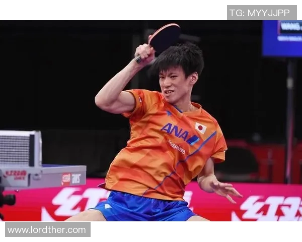 深圳排球队以67分领跑大满贯积分榜展现强劲实力和竞争优势